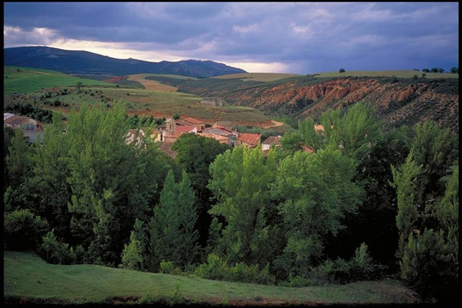 בית הארחה El Rincon De Monasterio חדר תמונה