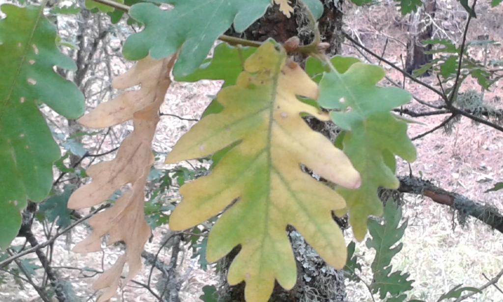 בית הארחה El Rincon De Monasterio מראה חיצוני תמונה